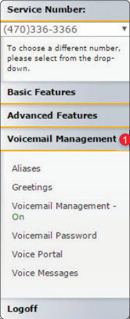 Voicemail_Main.png