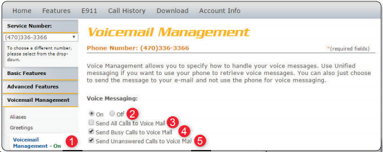 Voicemail_Manage.png