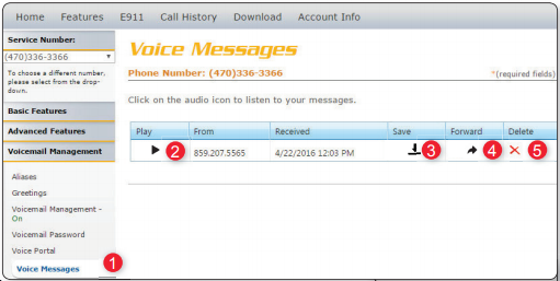 Voicemail_messages.png